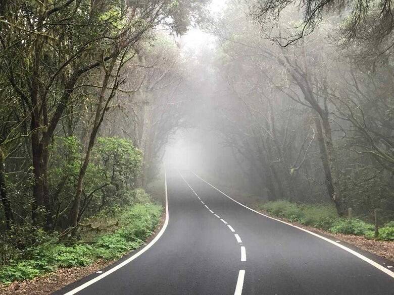 Nationalpark Garajonay, La Gomera