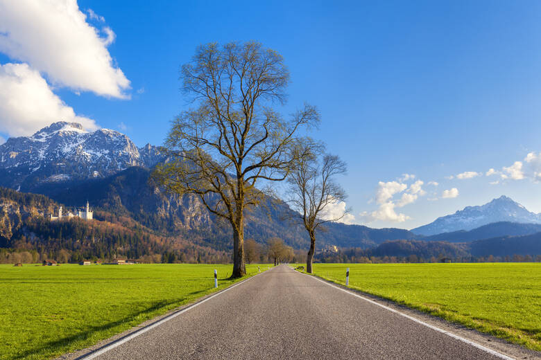 Romantische Straße mit Blick auf Schloss Neuschwanstein