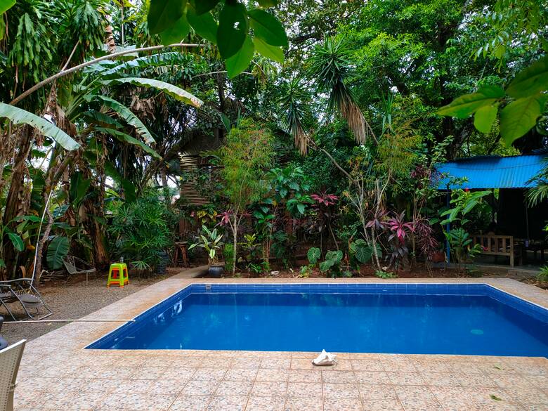 Pool im Bambu Hostel in der Stadt David in Panama