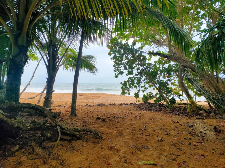 Playa Bluff auf Bocas del Toro in Panama