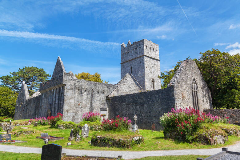 Muckross Abbey im Killarney-Nationalpark