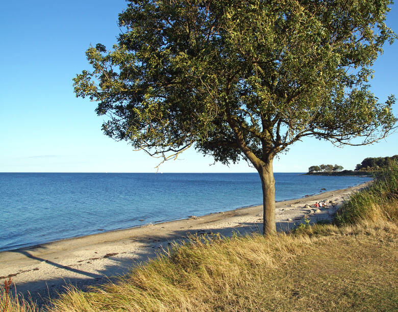 Strand auf der Ostseeinsel Fehmarn am Abend