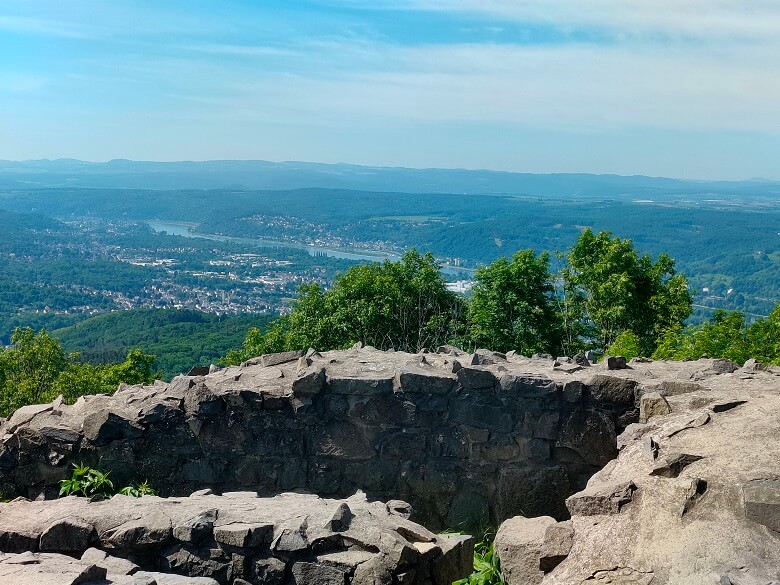 Blick von der Löwenburg auf den Rhein