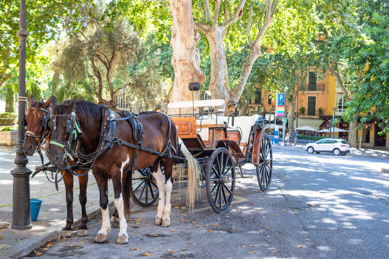 Pferdekutsche auf Mallorca