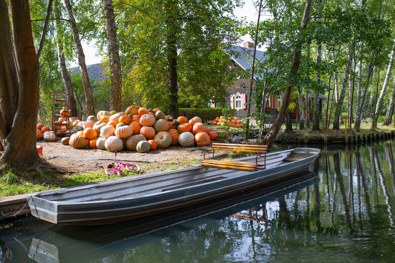 Boote und Kürbisse im Spreewald im Herbst