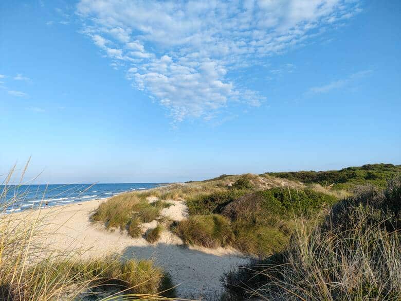 Langer Sandstrand mit Dünen in Apulien