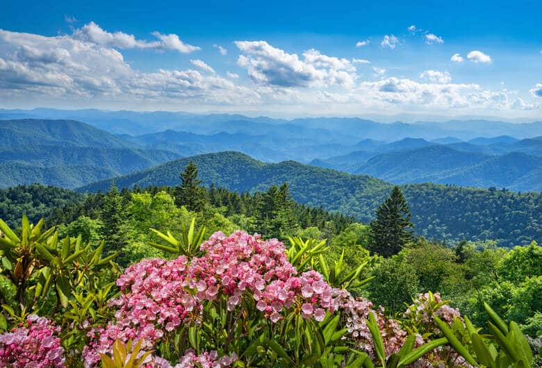 Blick auf die Blue Ridge Mountains im Osten der USA