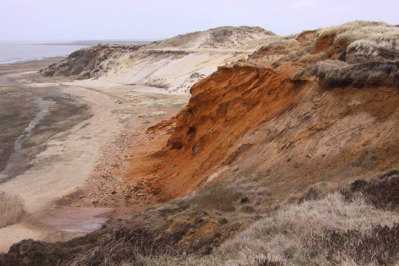 Die Felsklippen in rostbrrot und weiß an Morsum-Kliff