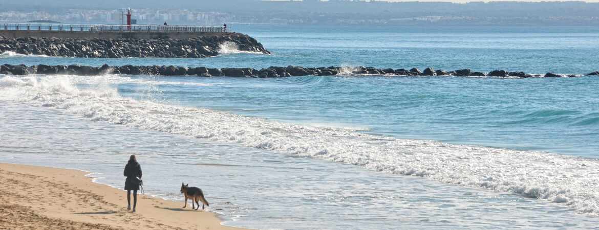 Frau geht mit Hund an einem Strand auf Mallorca spazieren