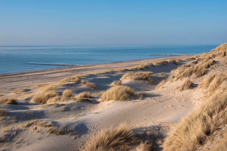 Dünen- und Strandblick vor dem Ort Renesse