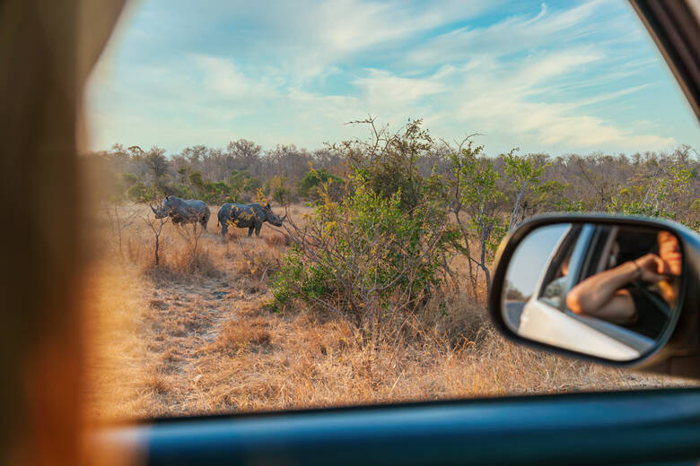Frau beobachtet zwei Nashörner auf einer Safari