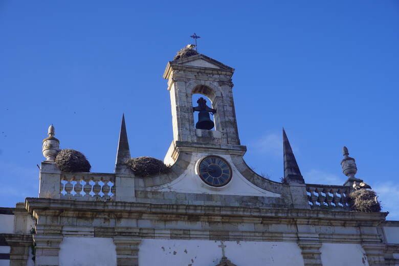 Kirche in Faro mit Storchennestern