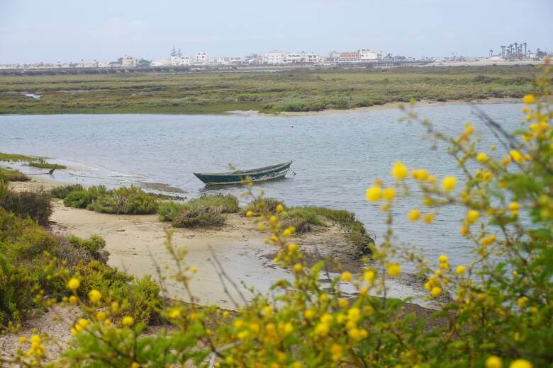 Altes Fischerboot im Naturschutzgebiet Ria Formosa in Portugal