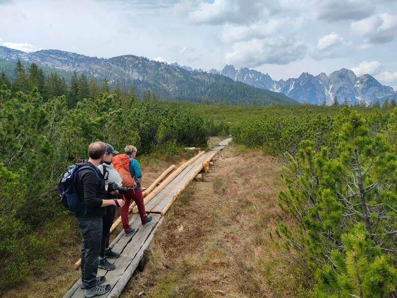 Personen wandern über Stege durch das Hochmoor in Österreich