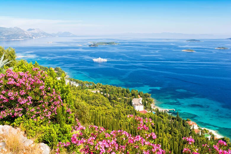 Hügel mit Blumen und der Blick auf das Meer in Kroatien