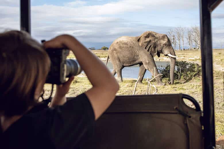 Kind fotografiert einen Elefanten auf einer Safari-Tour bei Kapstadt