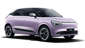 Dongfeng Nammi 01