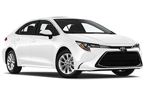 Toyota Corolla or Similar