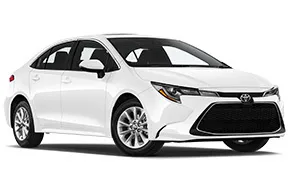 Toyota Corolla or Similar
