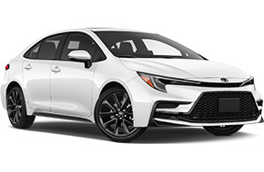 Toyota Corolla or Similar